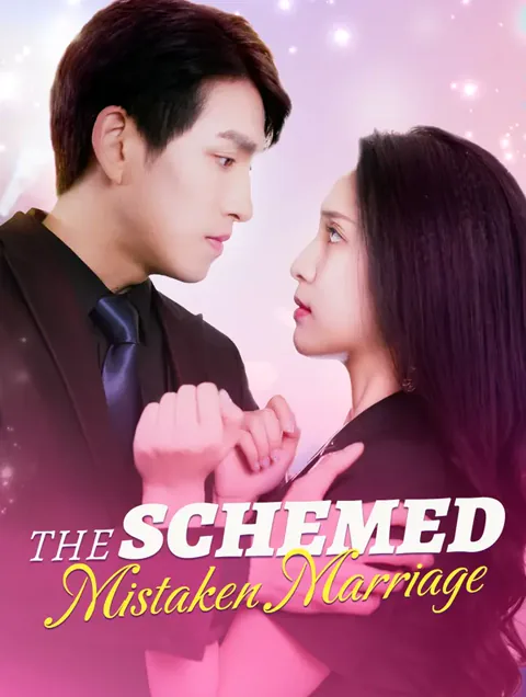 The Schemed Mistaken Marriage poster