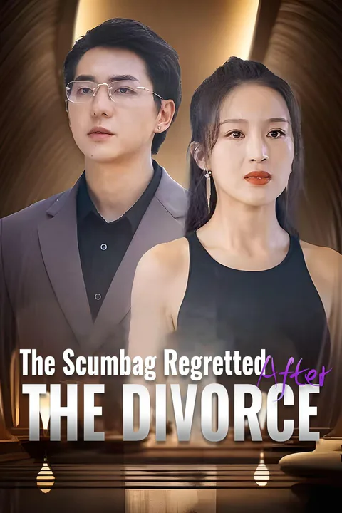 The Scumbag Regretted After the Divorce poster