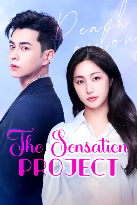The Sensation Project poster