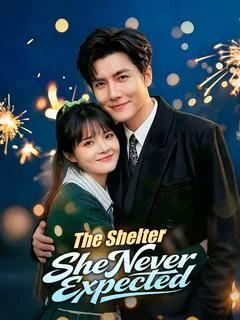 The Shelter She Never Expected poster