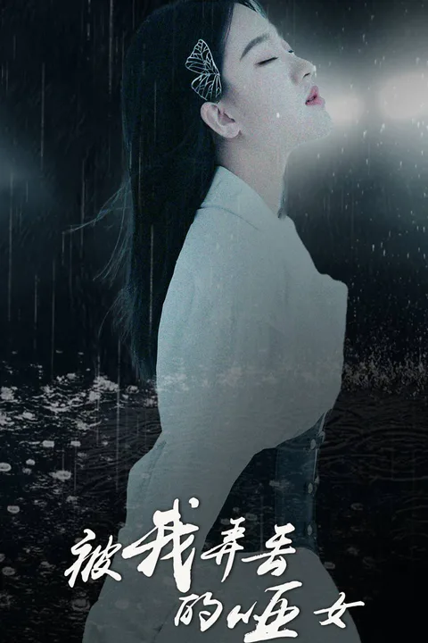 The Silent Girl I Lost poster