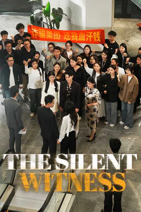 The Silent Witness poster