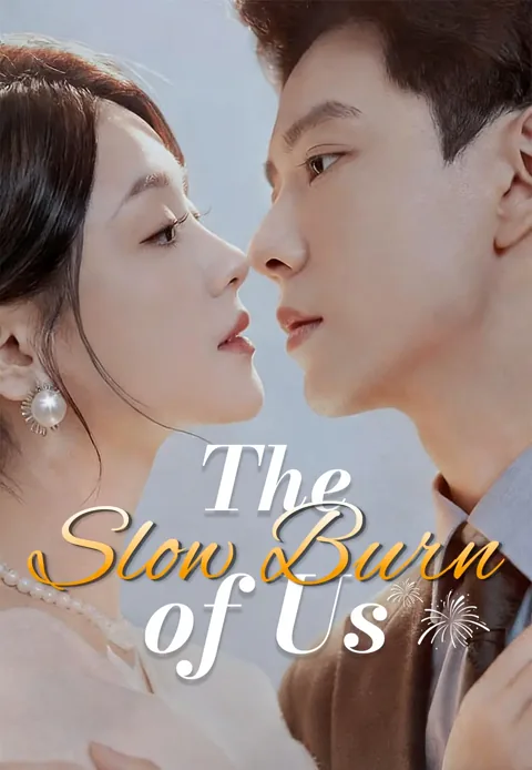 The Slow Burn of Us poster