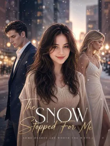 The Snow Stopped for Me poster