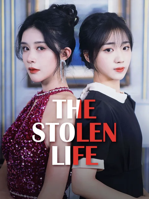 The Stolen Life poster