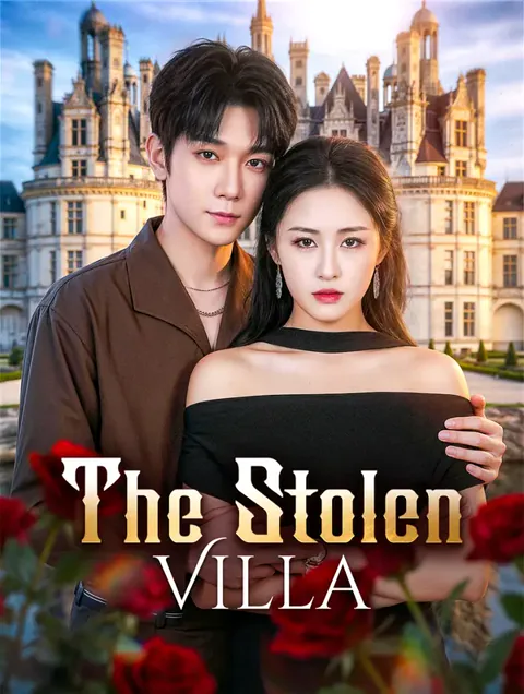 The Stolen Villa poster