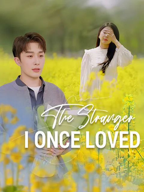 The Stranger I Once Loved poster