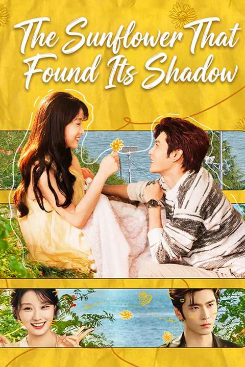 (Dubbed) The Sunflower That Found Its Shadow poster