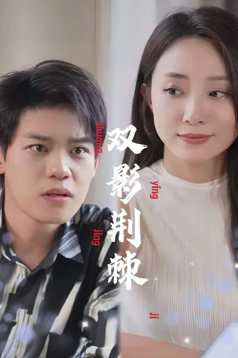The Twin's Revenge poster