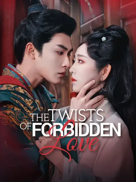 The Twists of Forbidden Love poster