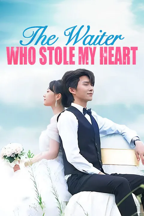 The Waiter Who Stole My Heart poster