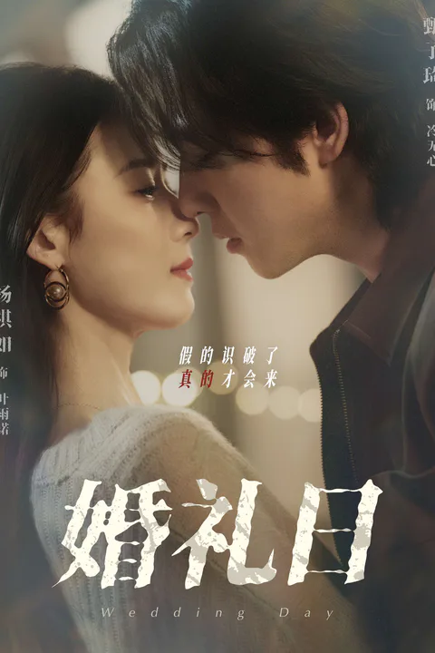 The Wedding Day poster