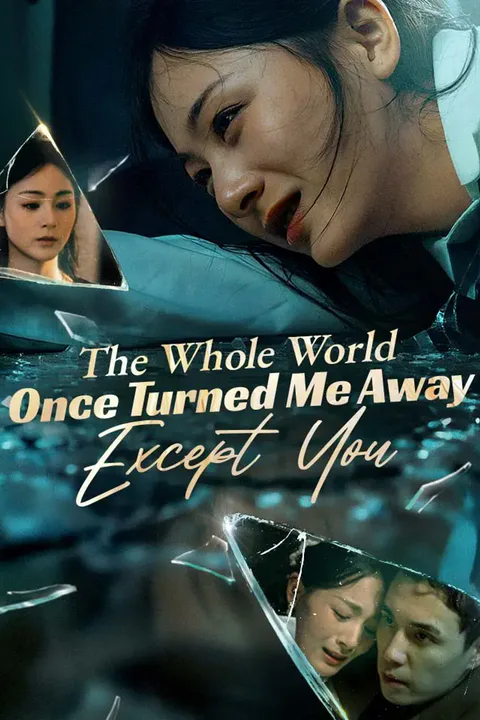 The Whole World Once Turned Me Away Except You poster
