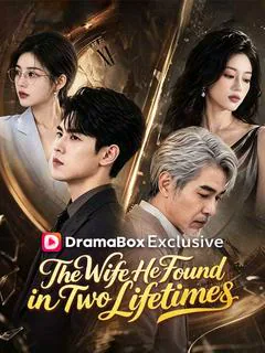 The Wife He Found in Two Lifetimes poster