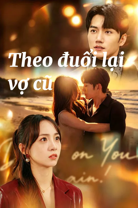 Poster Theo đuổi lại vợ cũ