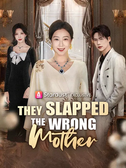 They Slapped The Wrong Mother poster