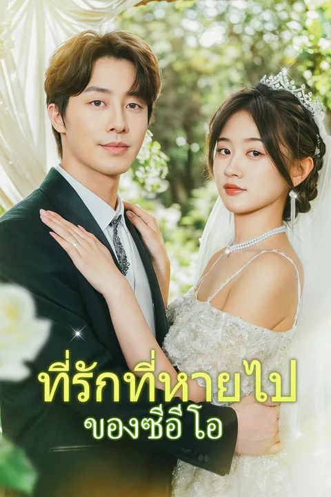 โปสเตอร์ ที่รักที่หายไปของซีอีโอ