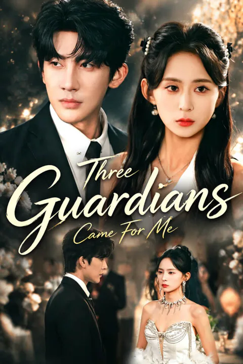 Three Guardians Came For Me poster