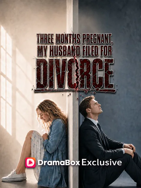 Three Months Pregnant, My Husband Filed For Divorce poster