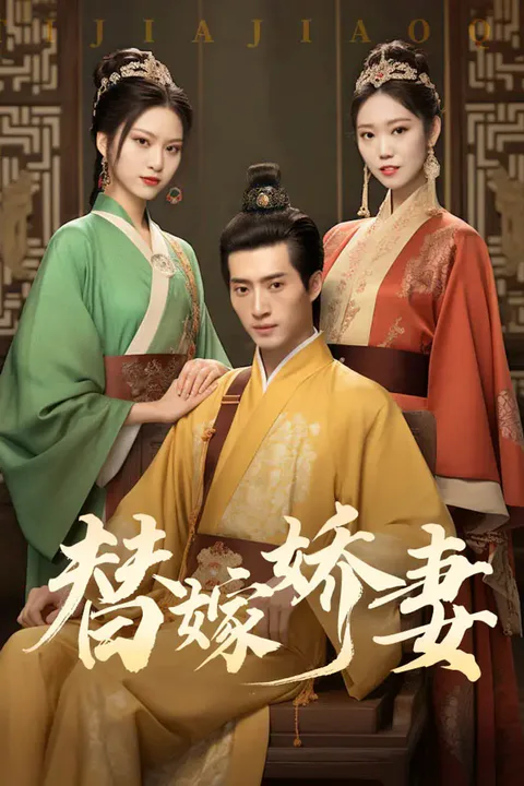 《替嫁娇妻》海报