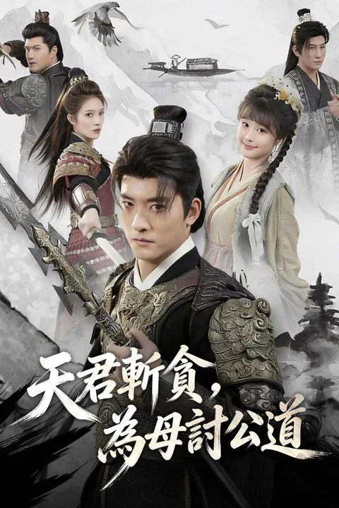 《天君斬貪，為母討公道》海報