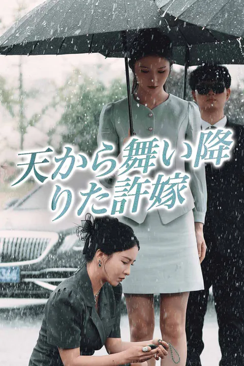 天から舞い降りた許嫁のポスター