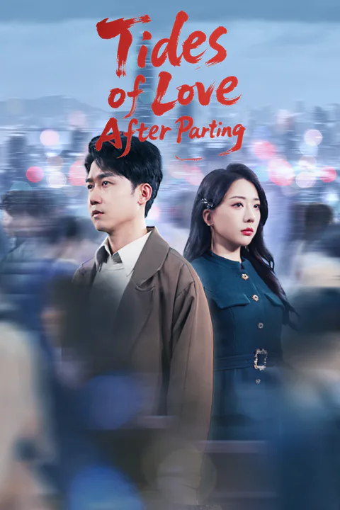 Tides of Love After Parting (Dubbing version) poster