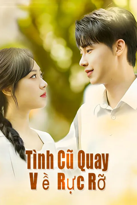 Poster Tình Cũ Quay Về Rực Rỡ