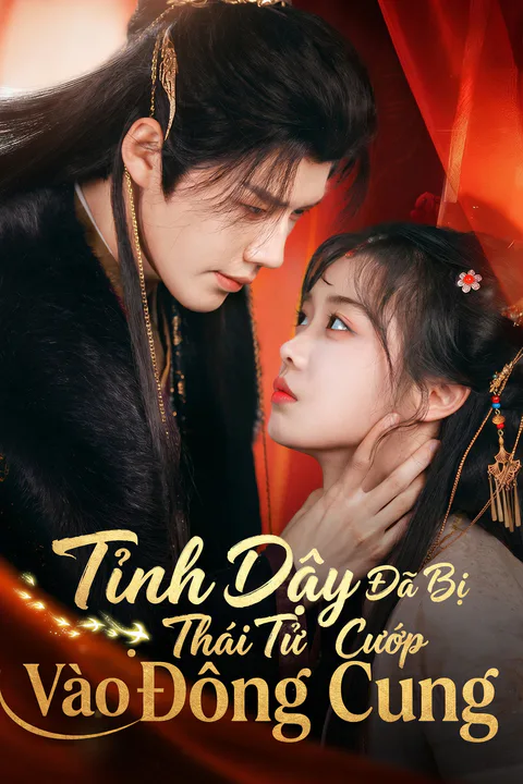 Poster Tỉnh Dậy Đã Bị Thái Tử Cướp Vào Đông Cung