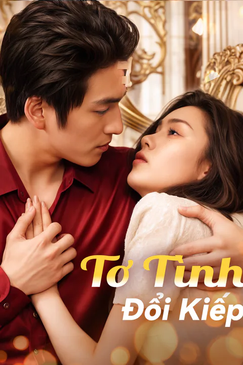 Poster Tơ Tình Đổi Kiếp