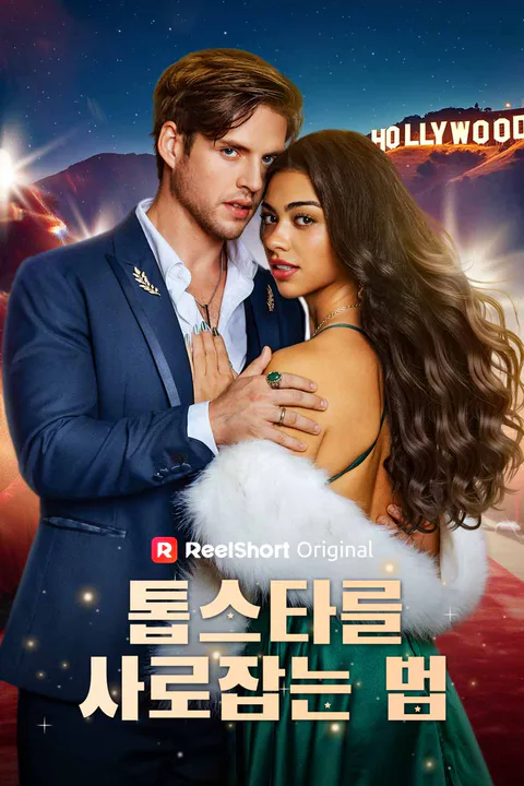 톱스타를 사로잡는 법 포스터