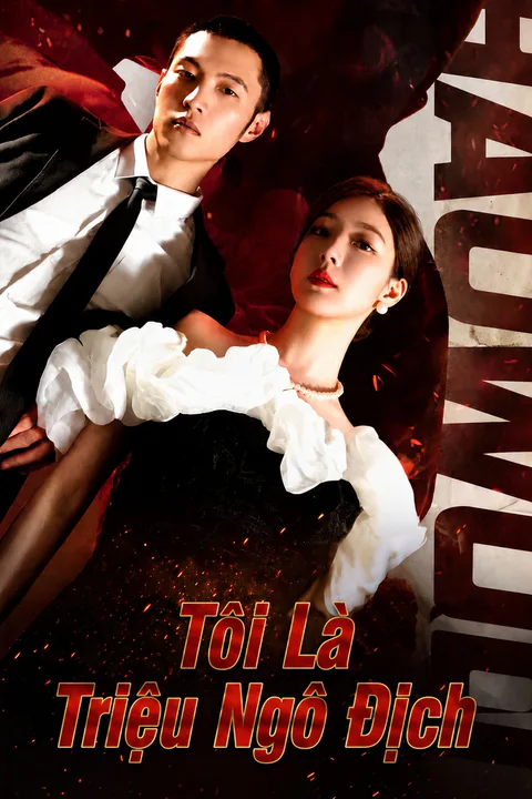 Poster Tôi Là Triệu Ngô Địch
