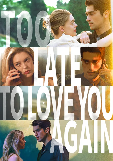 Too Late to Love You Again poster