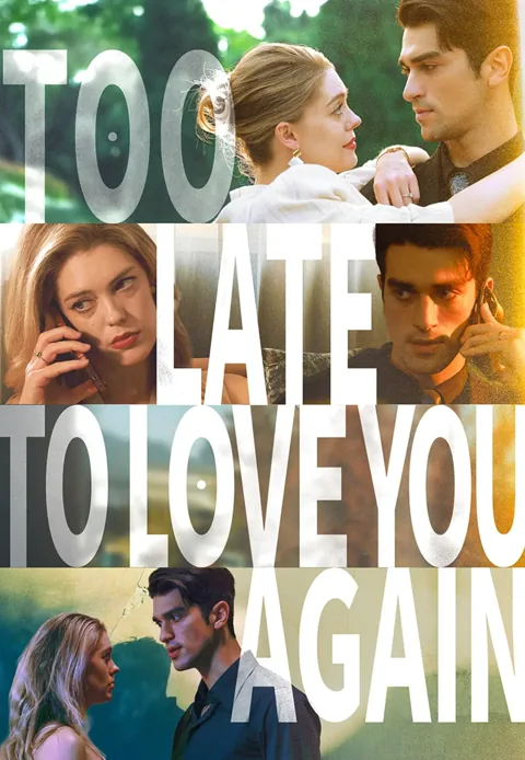 Too Late to Love You Again poster