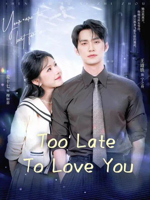 Too Late To Love You poster