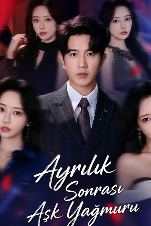 Too Many Suitors poster
