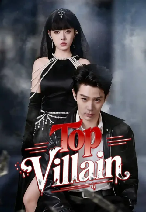 Top Villain poster