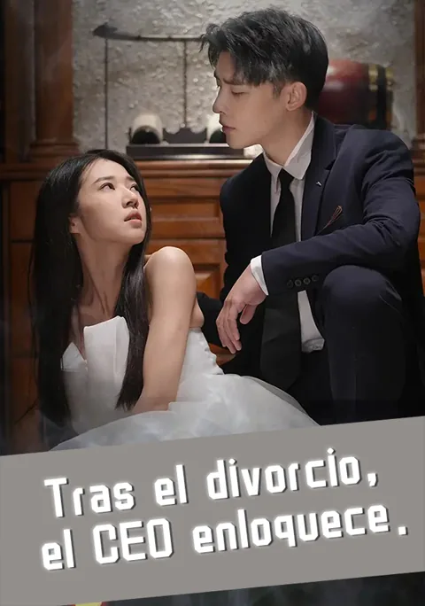 Póster de Tras el divorcio, el CEO enloquece.