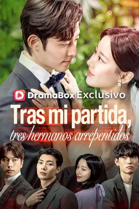 Póster de Tras mi partida, tres hermanos arrepentidos