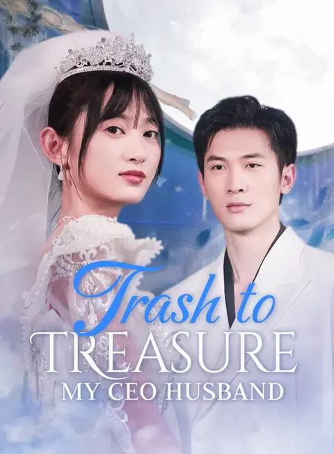 Trash to Treasure: My CEO Husband poster
