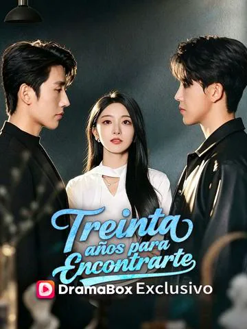 Póster de Treinta años para encontrarte