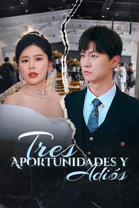 Póster de Tres Aportunidades y Adiós