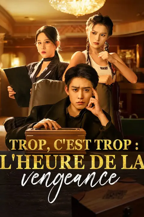 Affiche de Trop, c'est trop : L'Heure de la vengeance