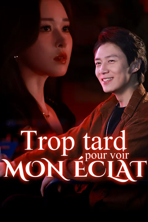 Affiche de Trop tard pour voir mon éclat