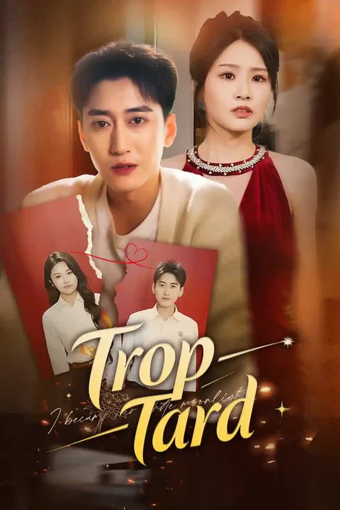 Affiche de Trop Tard
