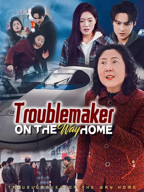 Troublemaker On the Way Home poster