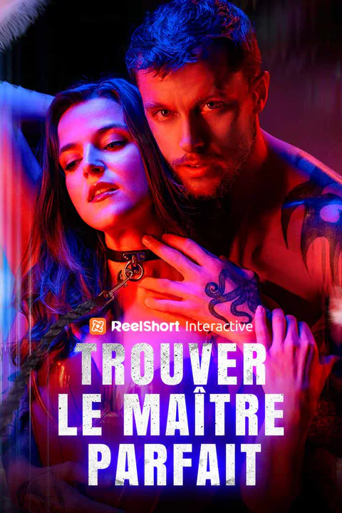 Affiche de Trouver le maître parfait
