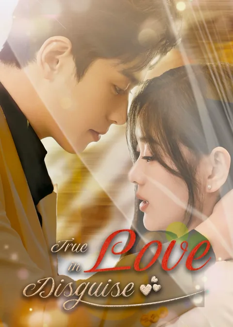 True Love In Disguise poster