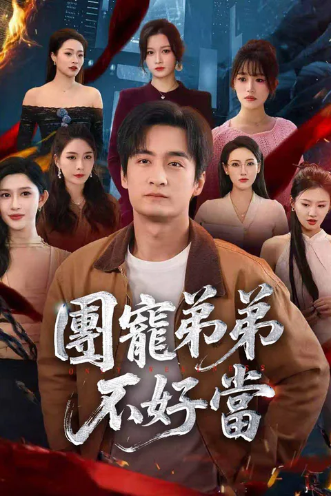 《團寵弟弟不好當》海報