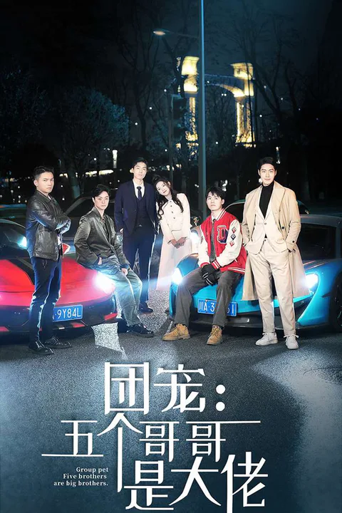 《團寵：五個哥哥是大佬》海報